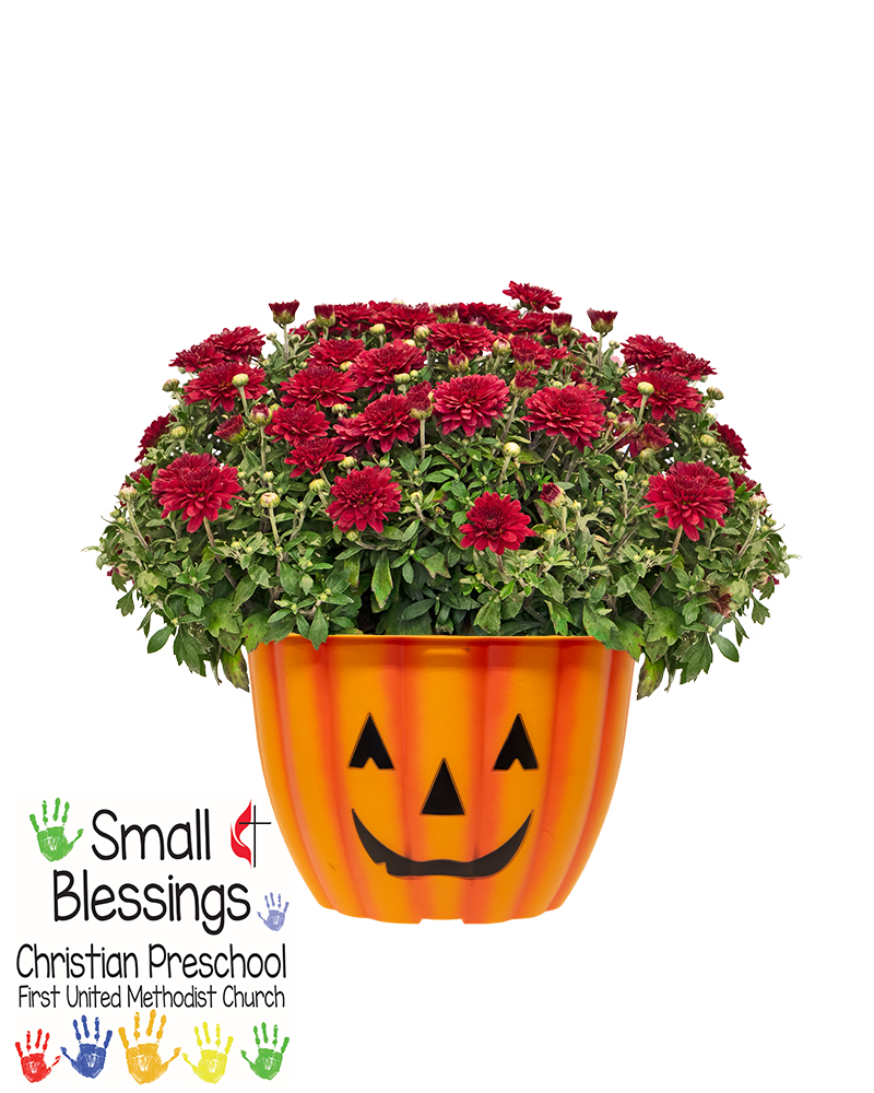 Small Blessings Christian Pre-School Mini-Mum