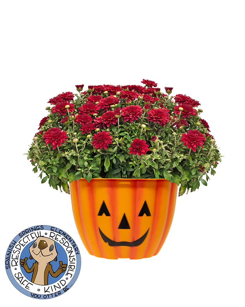 Spanish Springs Elementary School PTO Mini-Mum
