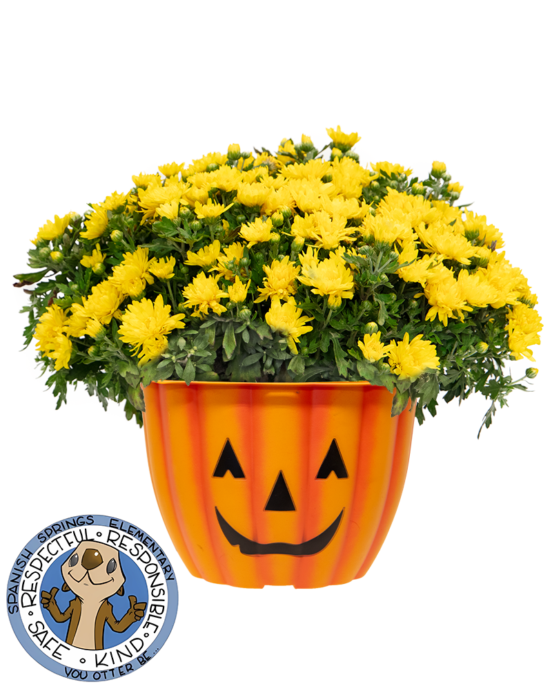 Spanish Springs Elementary School PTO Maxi-Mum