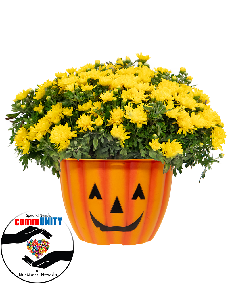 Special Needs Community of Northern NV Maxi-Mum