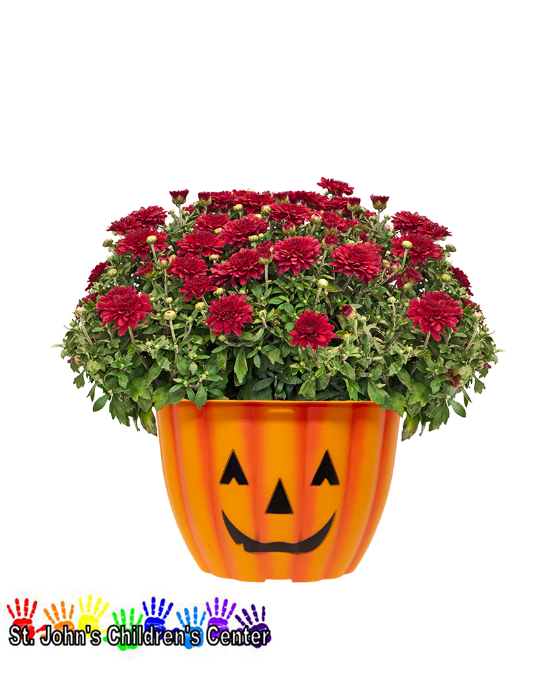 St. John's Children's Center Mini-Mum