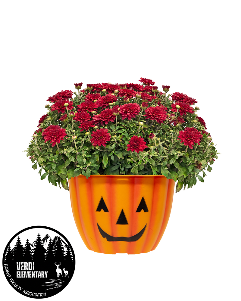 Verdi Elementary School PFA Mini-Mum
