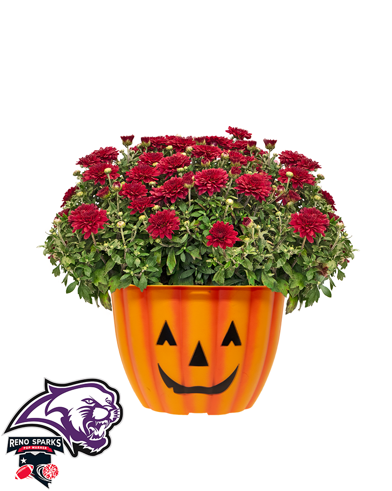 8U Cougars - Cable Mini-Mum