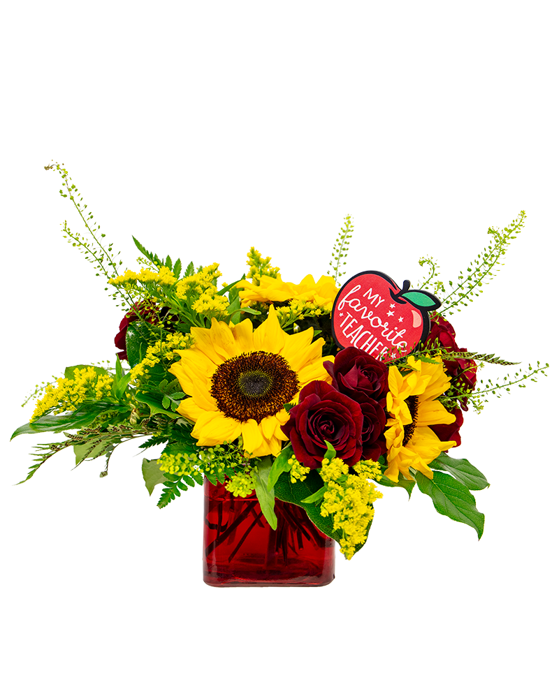 Bloom In Your Classroom