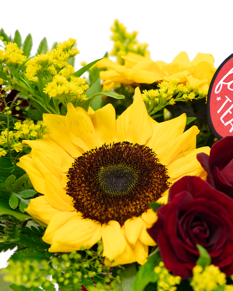Bloom In Your Classroom