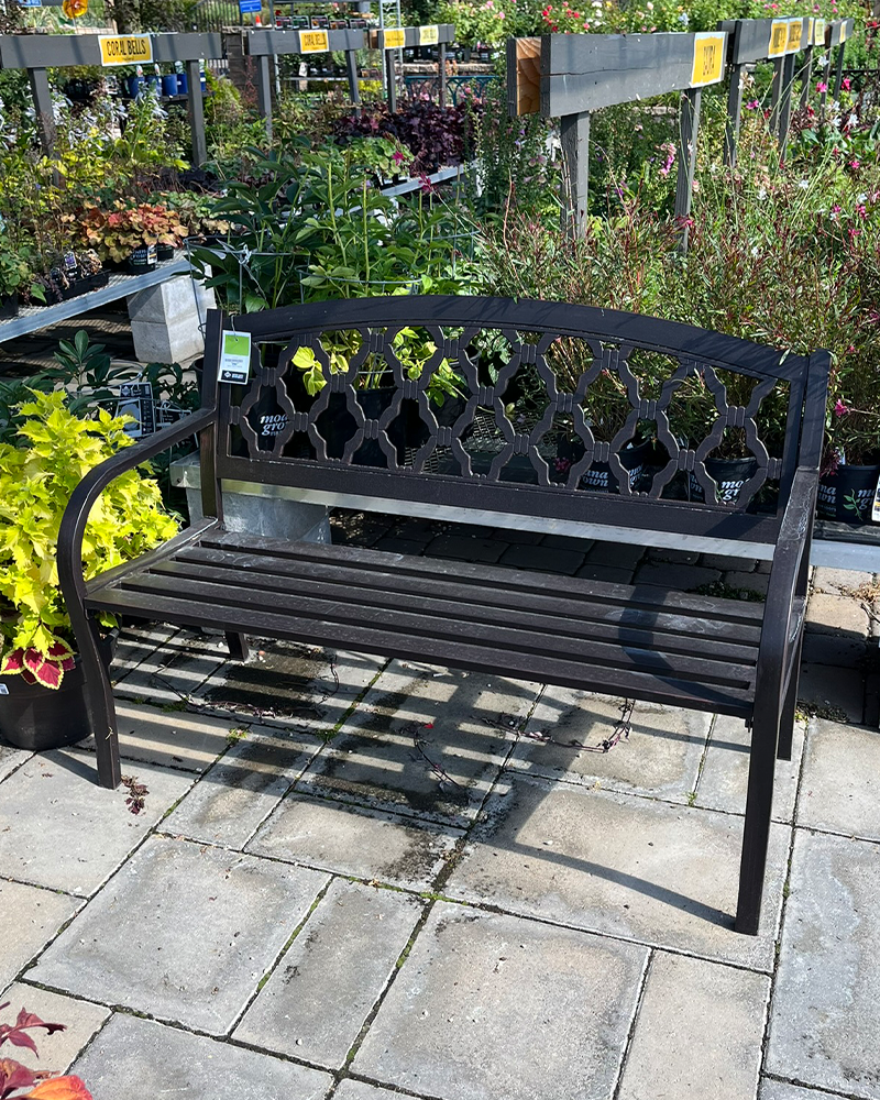 Bench Evelyn Bronze