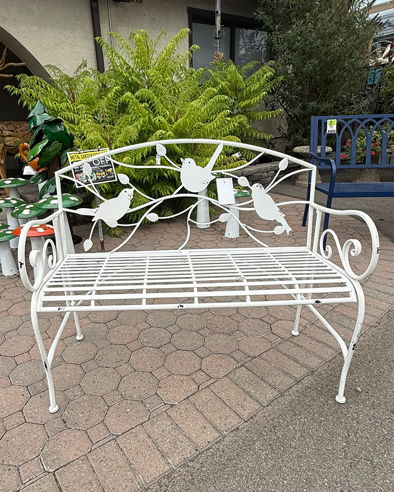 Bench with Birds
