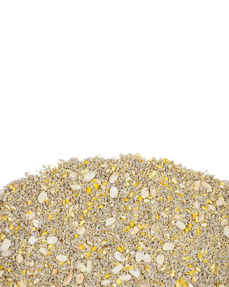 No-Mess Dove & Quail Bird Seed 5lb