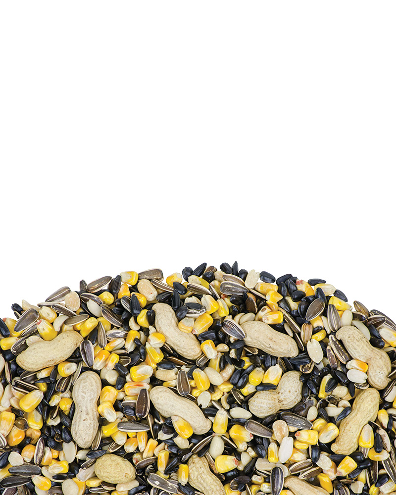 Wildlife Blend Bird Seed 5lb