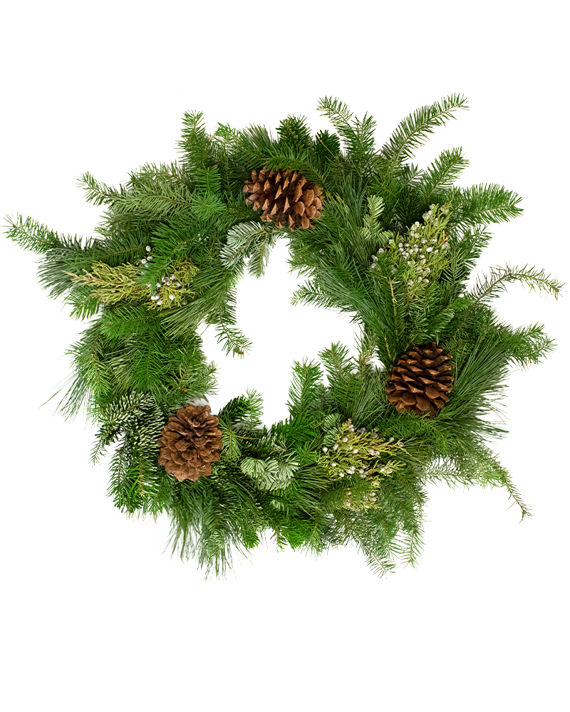 Moana Wreath Scent of the Season 14"