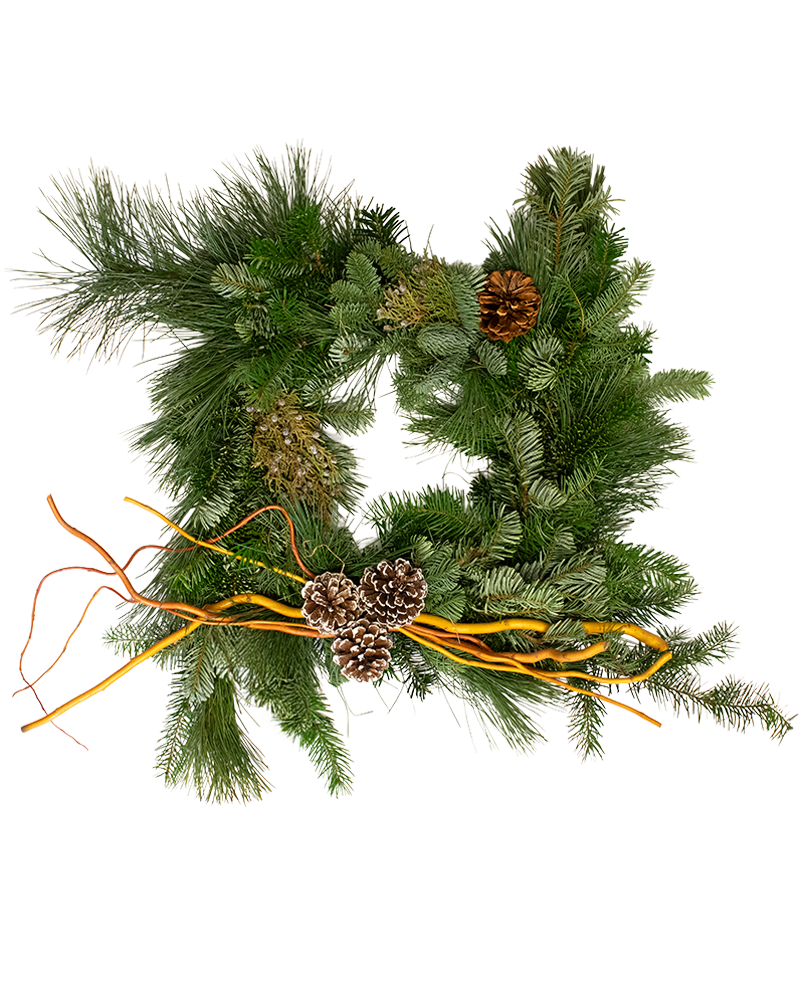 Moana Wreath Square 14"