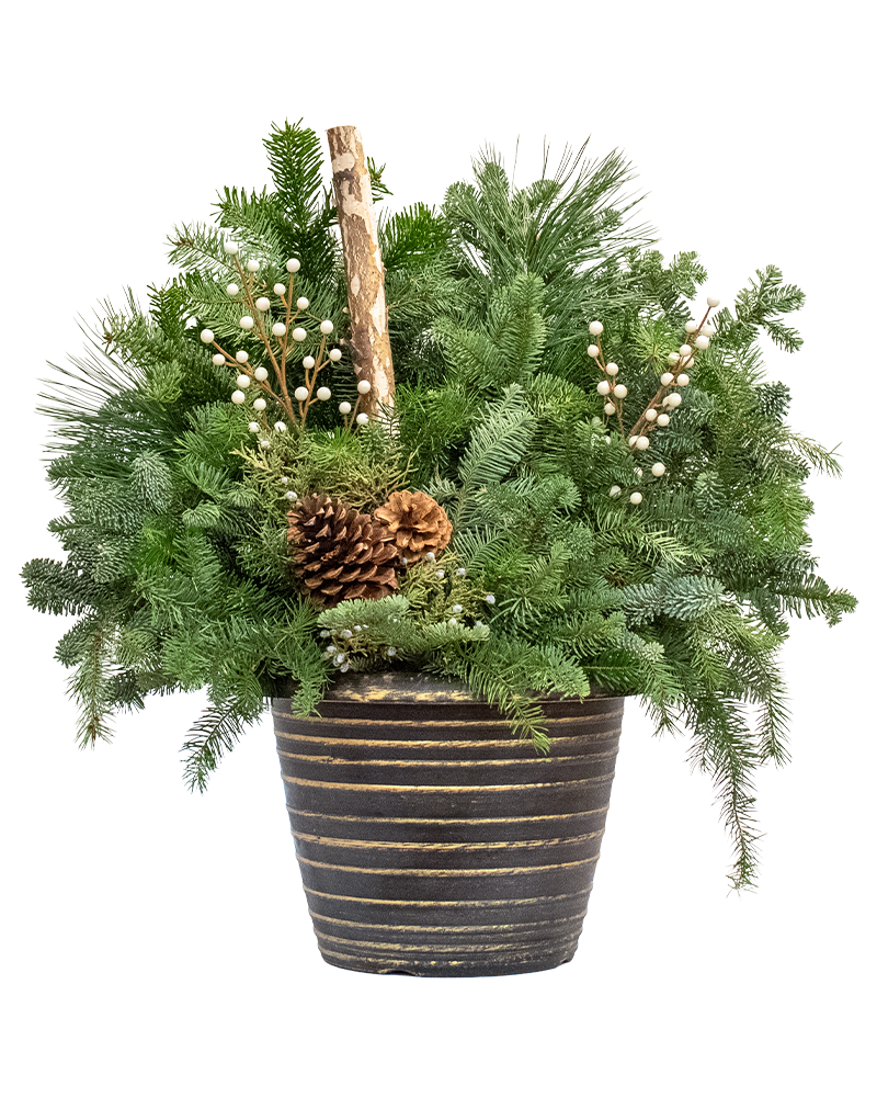 Moana Porch Pot Small