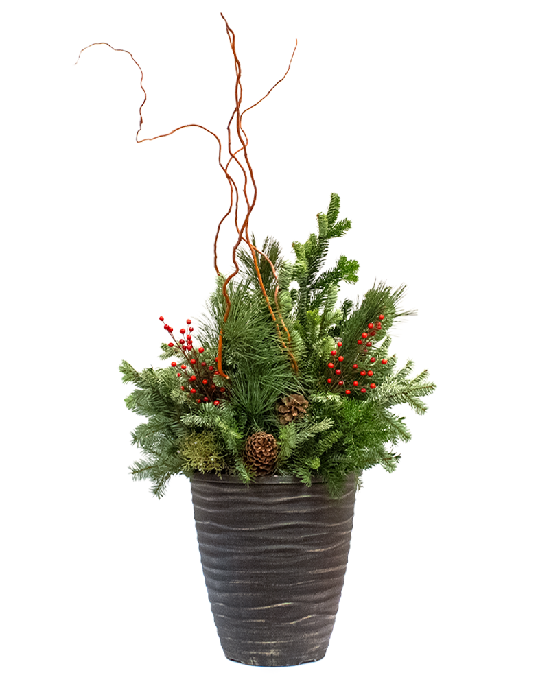 Moana Porch Pot Medium