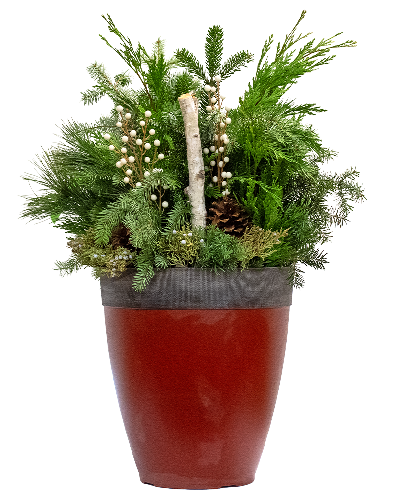 Moana Porch Pot Large