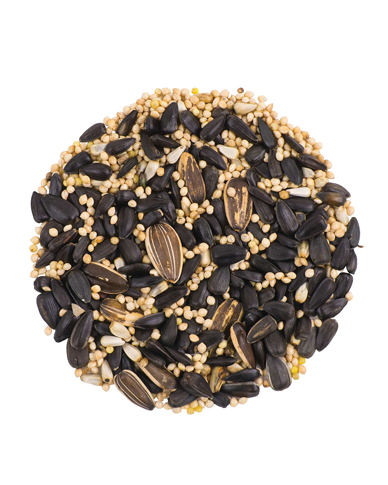 Deluxe Blend Bird Seed 10lb