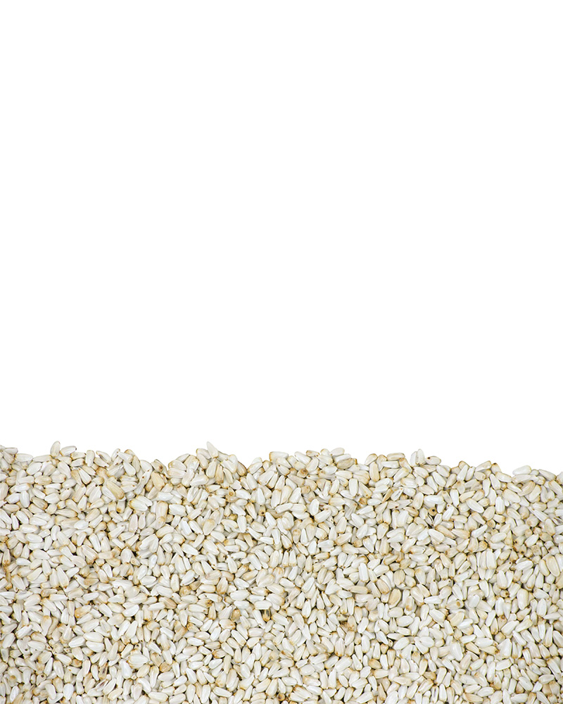 Safflower Birdseed 5lb