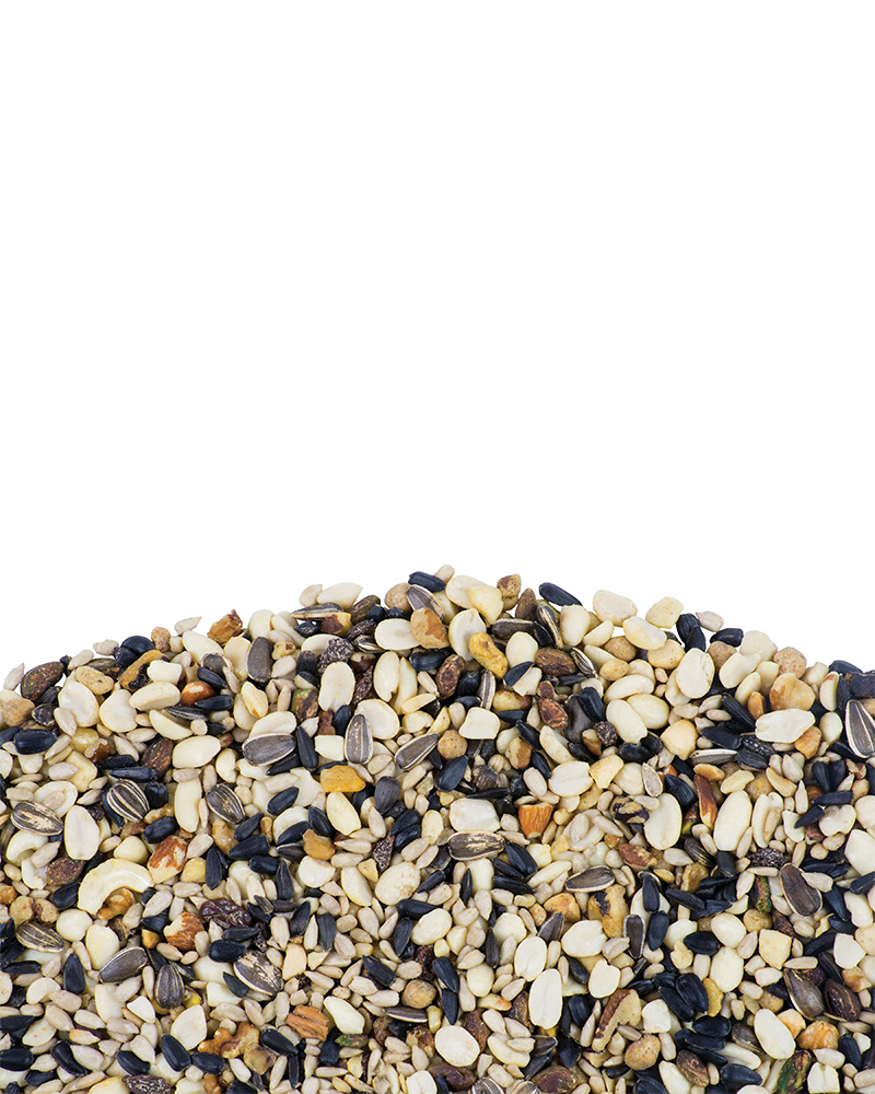 TreeNutty Plus Bird Seed 5lb