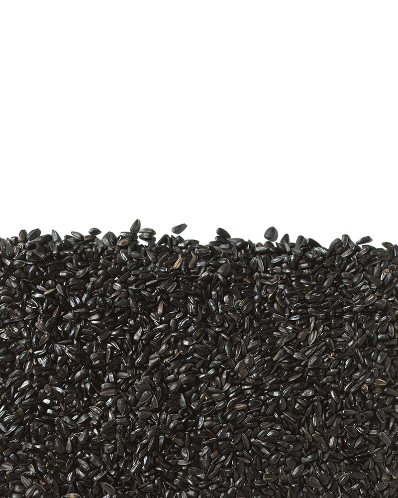 Premium Black Oil Sunflower Birdseed 5lb