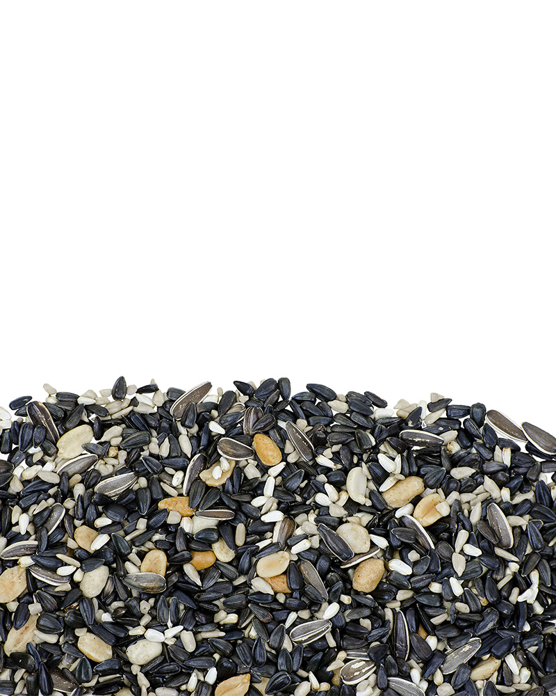 Choice Plus Blend Birdseed 5lb