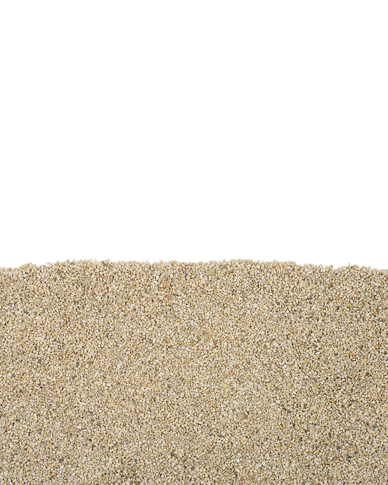 Fine Sunflower Bird Seed 5lb