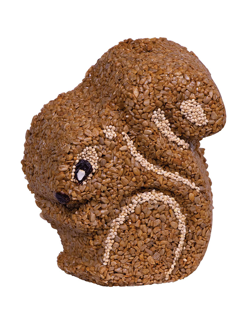 Blaze Hot Pepper Seed Squirrel