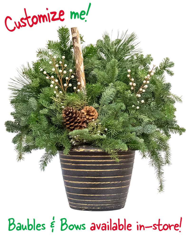 Moana Porch Pot Small