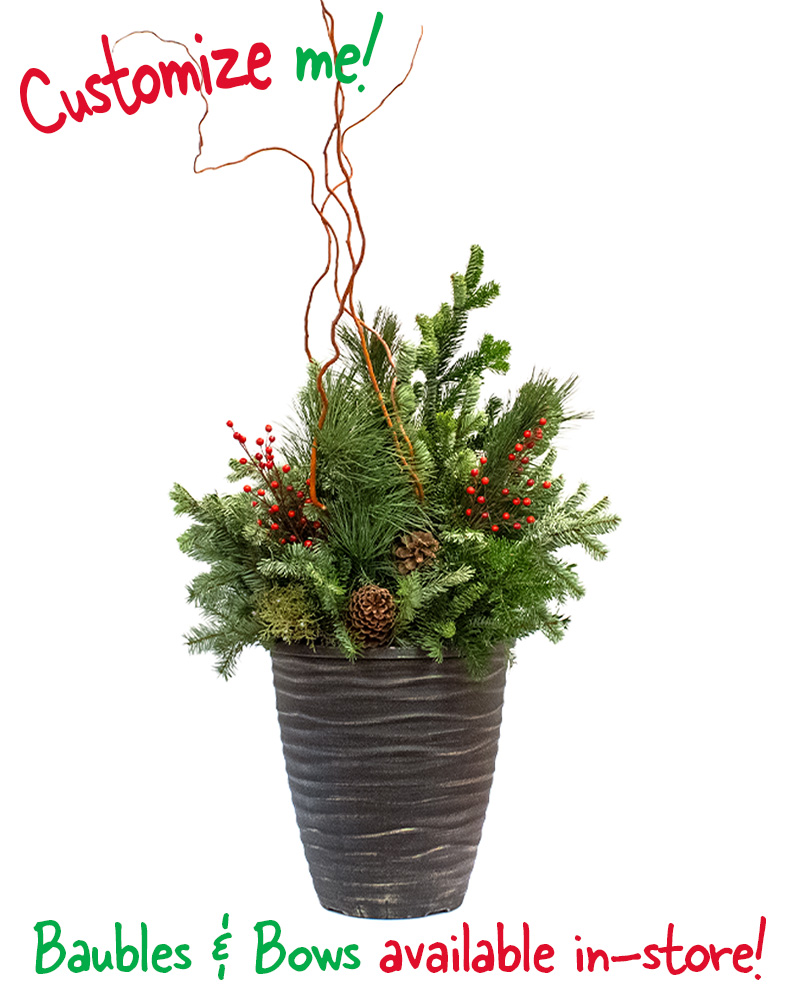 Moana Porch Pot Medium