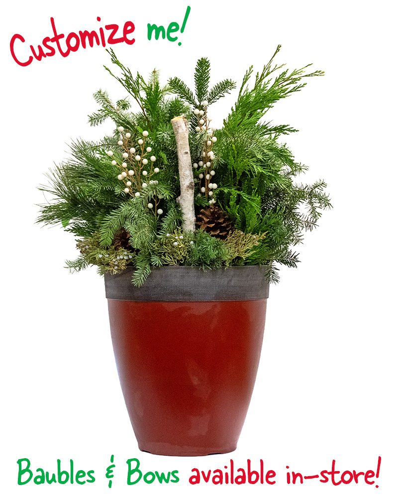 Moana Porch Pot Large