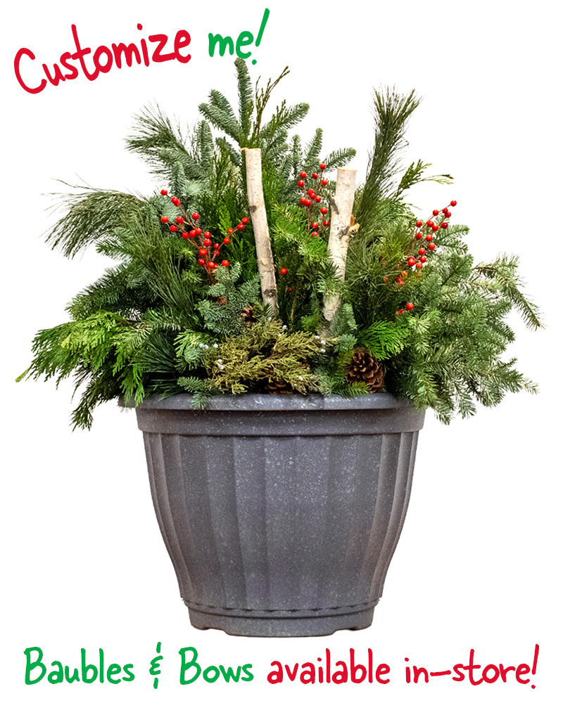 Moana Porch Pot Extra Large