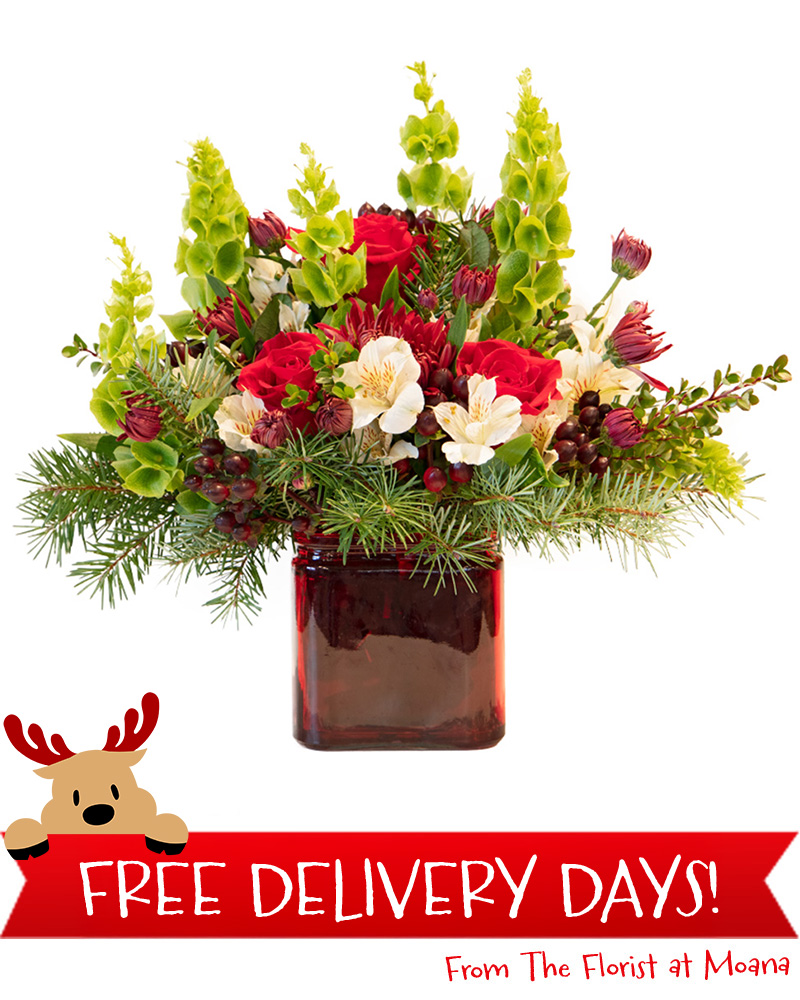 Sugar Plum Floral Arrangement from $55-$85