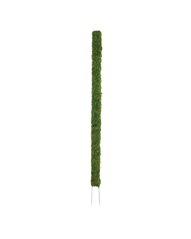 Moss Ivy Post 24"