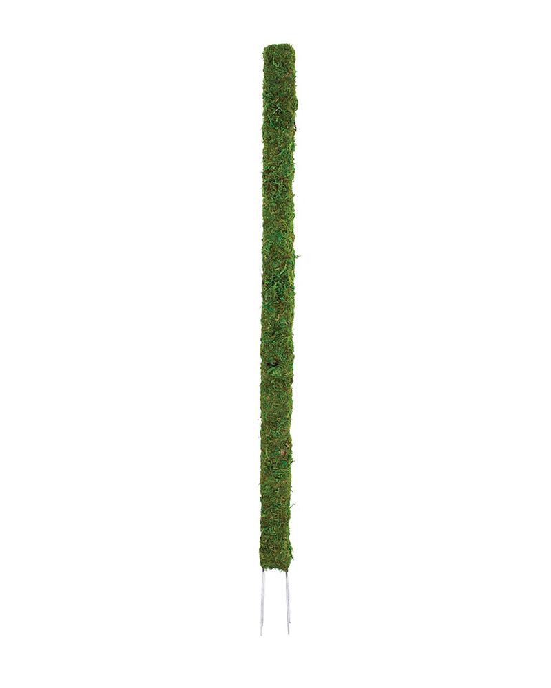 Moss Ivy Post 32"
