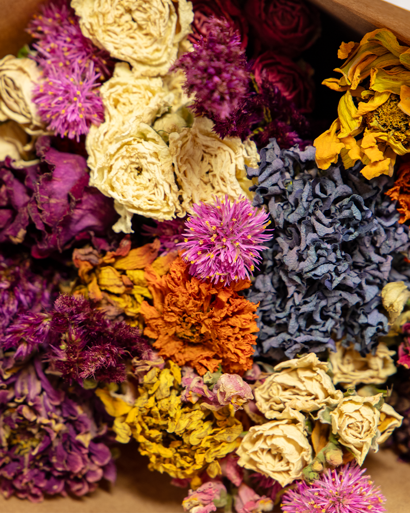 Moana Made Dried Flower Wrap Deluxe