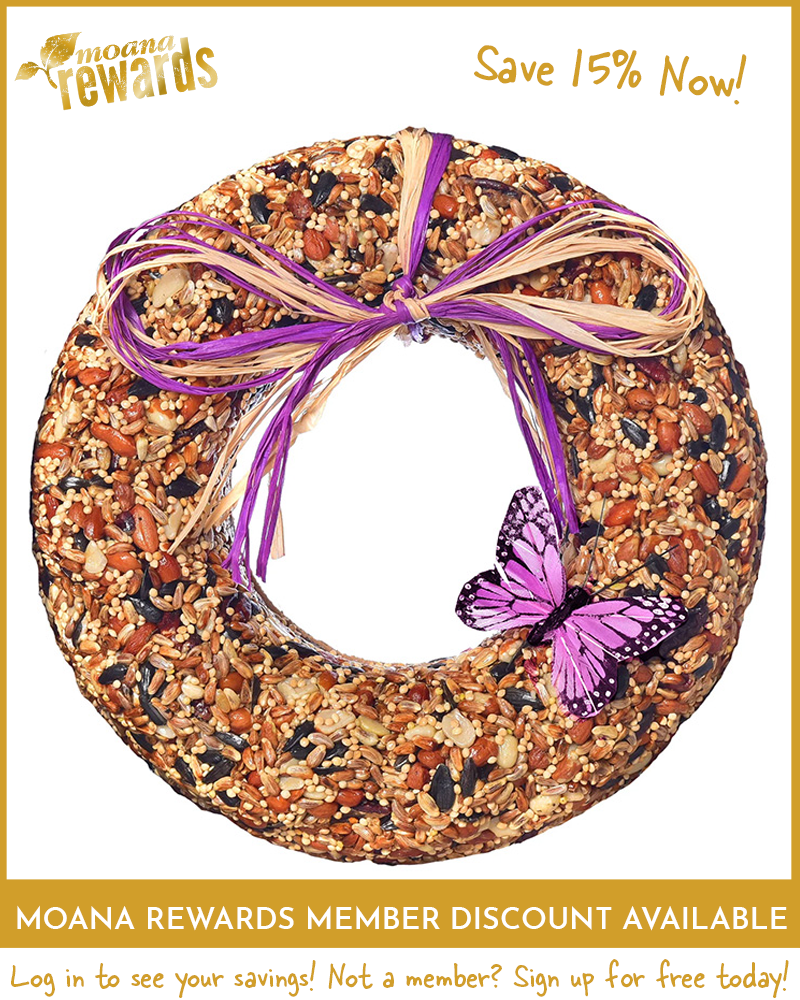 Seed Wreath Wildfare