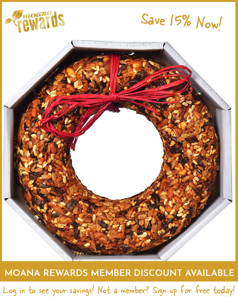 Seed Wreath Hot Cranberry