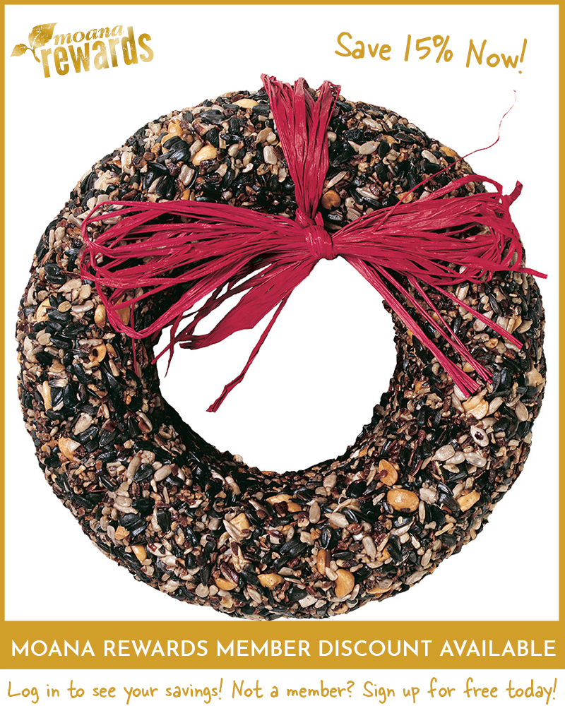 Seed Wreath Cranberry Fare