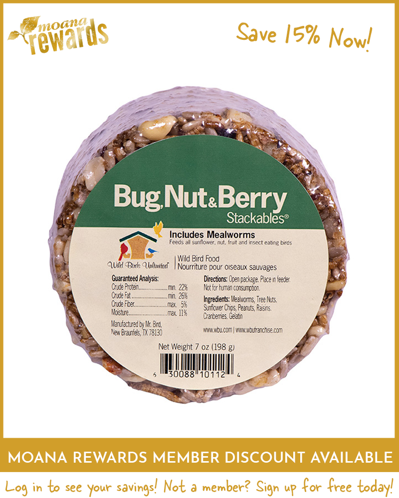 Seed Stackable Bug Nut & Berry