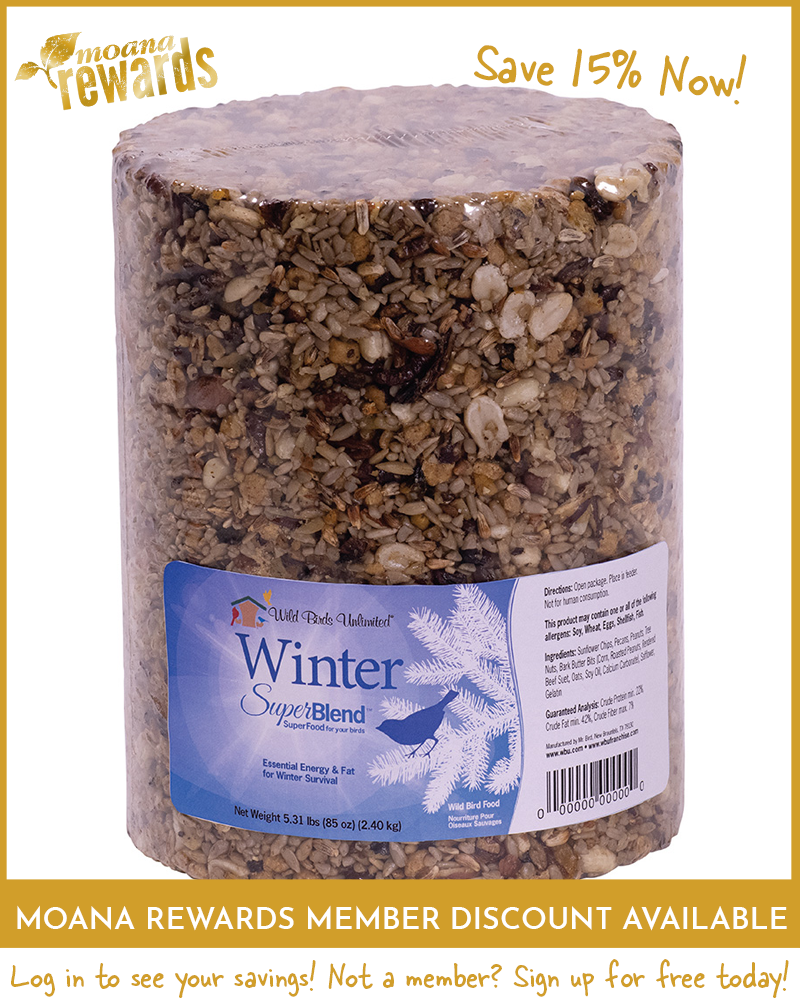 Winter Blend Birdseed Cylinder Large