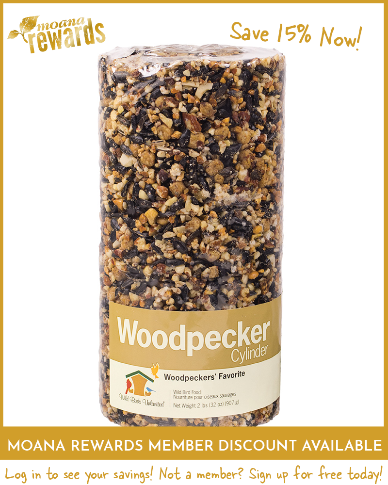 Woodpecker Birdseed Cylinder Small