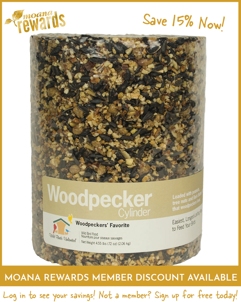 Woodpecker Birdseed Cylinder Large