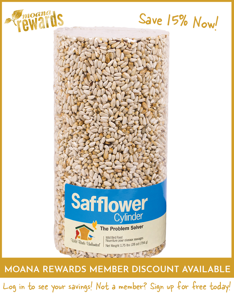 Safflower Birdseed Cylinder Small