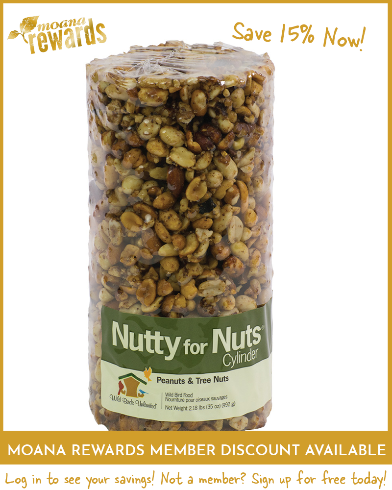 Nutty For Nuts Birdseed Cylinder Small