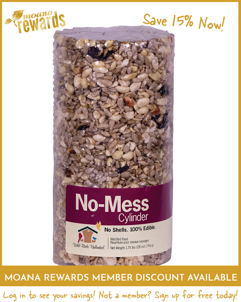 No-Mess Birdseed Cylinder Small