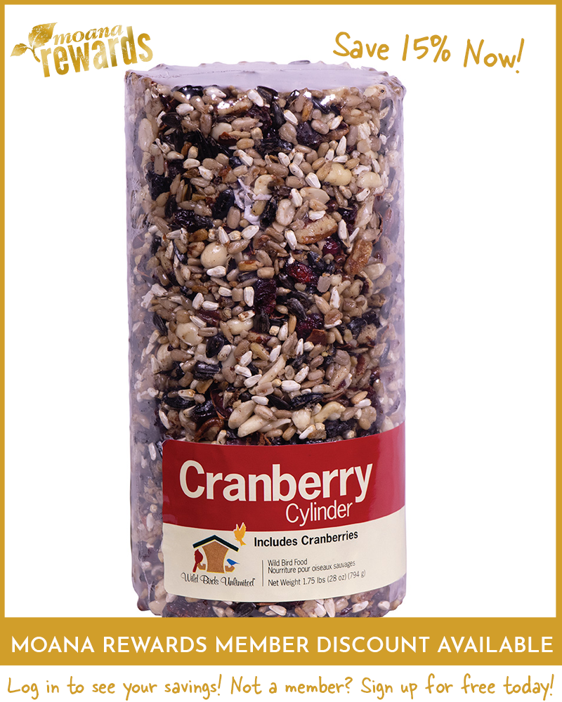 Cranberry Birdseed Cylinder Small