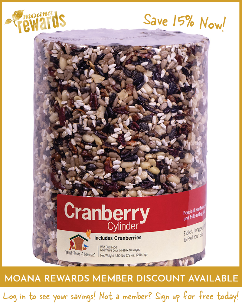 Cranberry Birdseed Cylinder Large