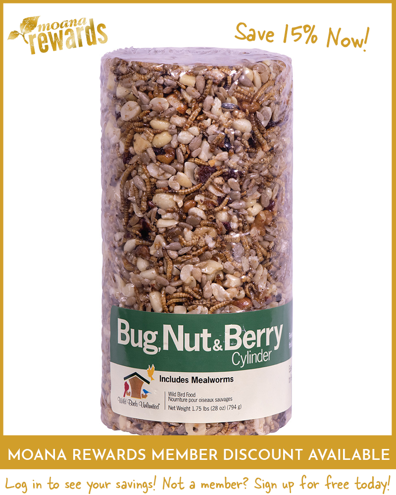 Bug, Nut & Berry Birdseed Cylinder Small