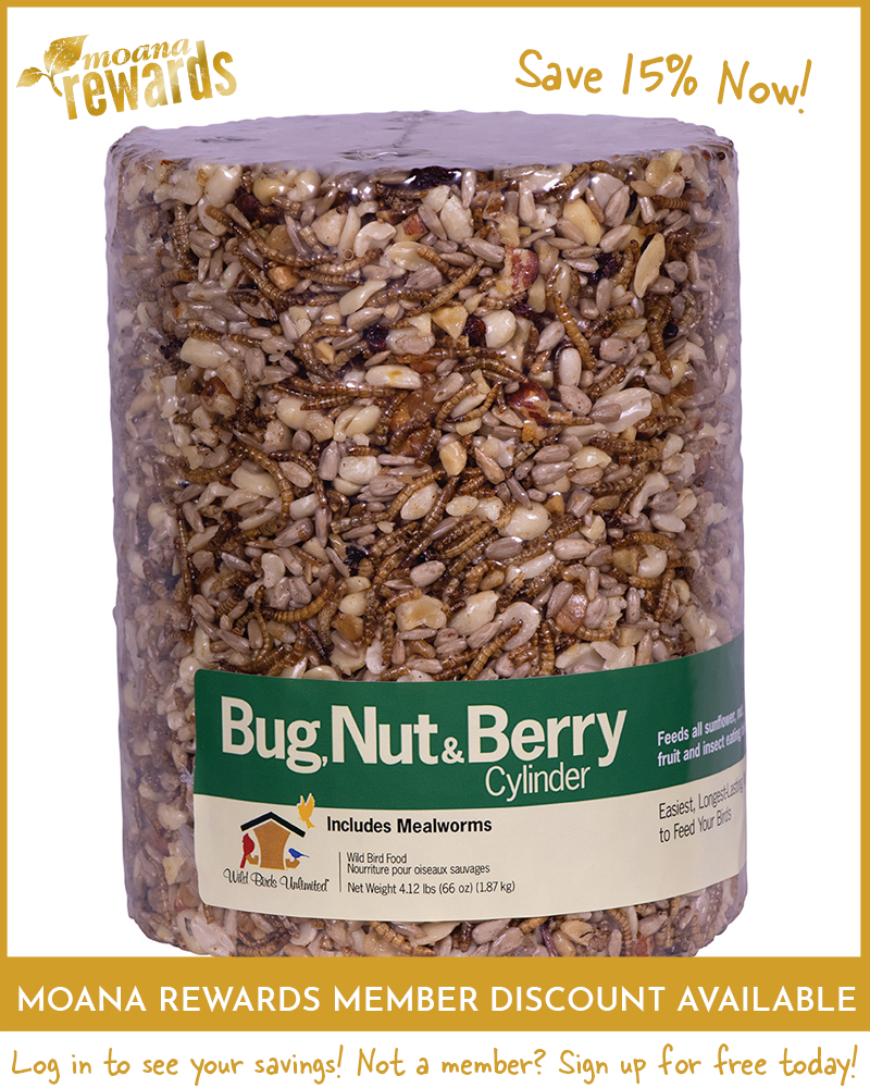 Bug, Nut & Berry Birdseed Cylinder Large