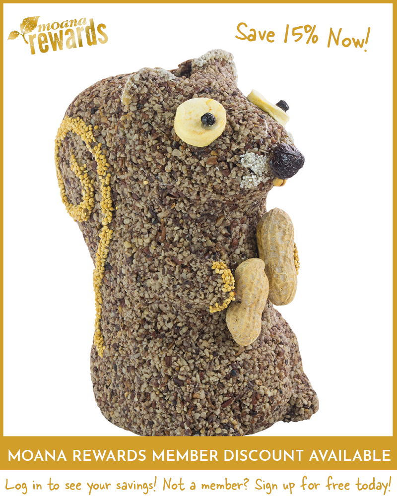 Peanut the Squirrel Seed Character