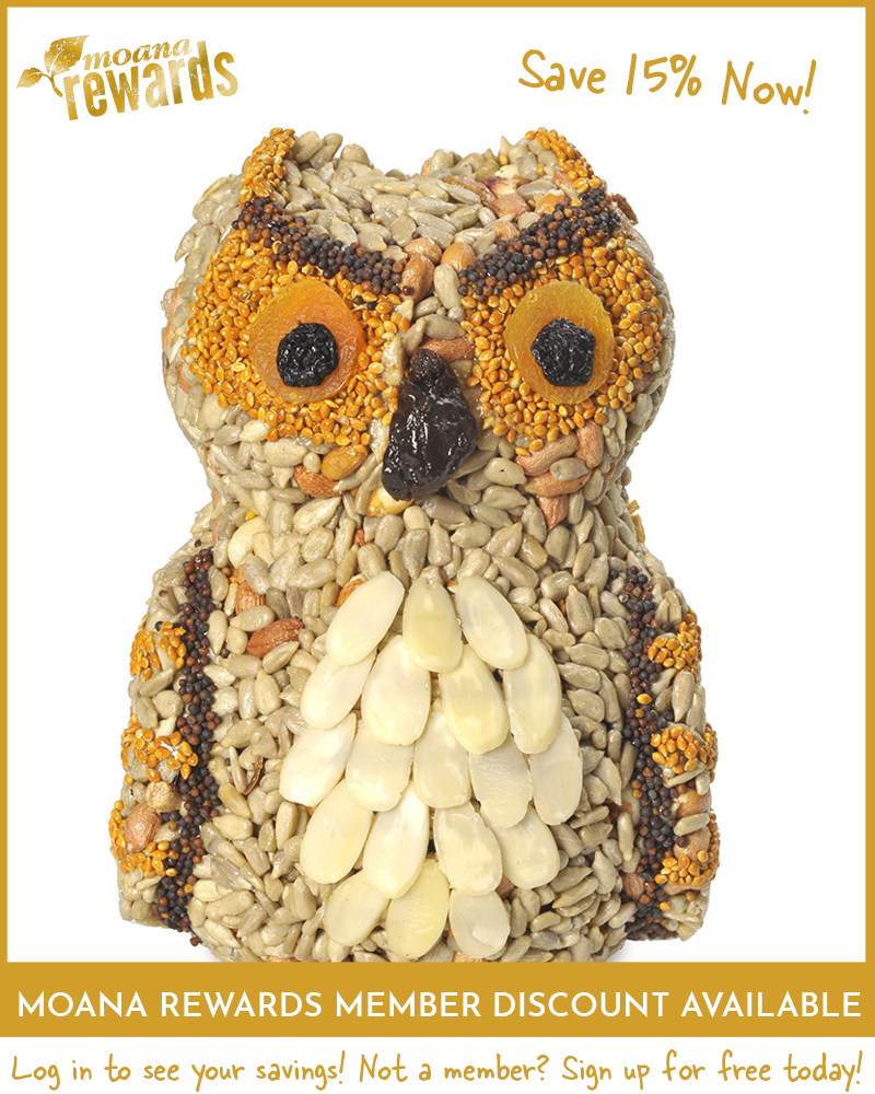 Olive Owl Seed Character