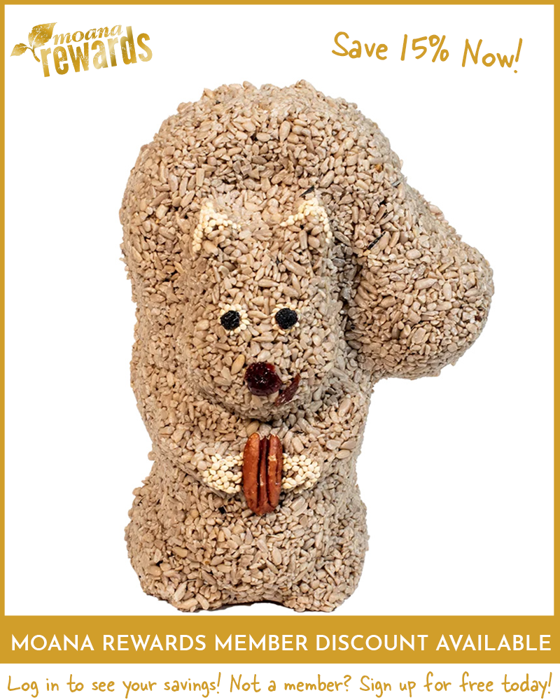 Nutzo Squirrel Seed Character